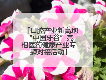 口腔产业新高地 “中国牙谷”亮相医药健康产业专题对接活动