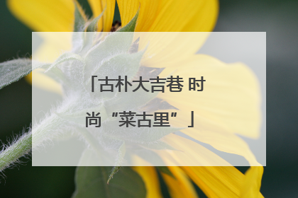 古朴大吉巷 时尚“菜古里”
