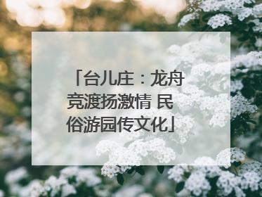 台儿庄：龙舟竞渡扬激情 民俗游园传文化