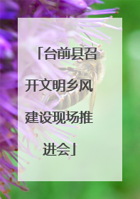 台前县召开文明乡风建设现场推进会