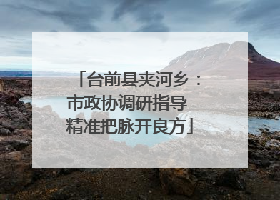 台前县夹河乡：市政协调研指导 精准把脉开良方