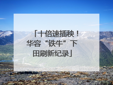 十倍速插秧！华容“铁牛”下田刷新纪录