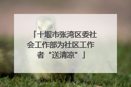 十堰市张湾区委社会工作部为社区工作者“送清凉”