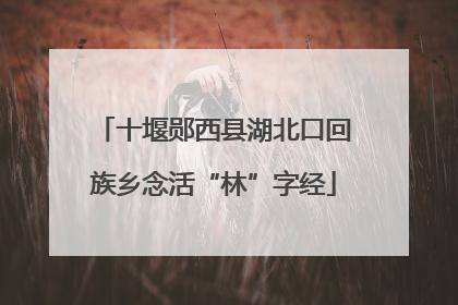 十堰郧西县湖北口回族乡念活“林”字经