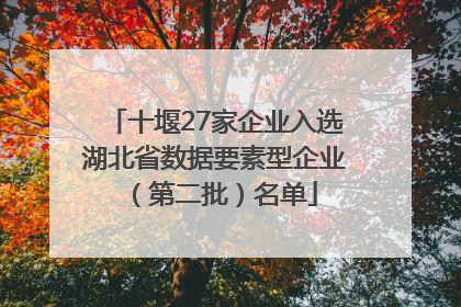 十堰27家企业入选湖北省数据要素型企业（第二批）名单