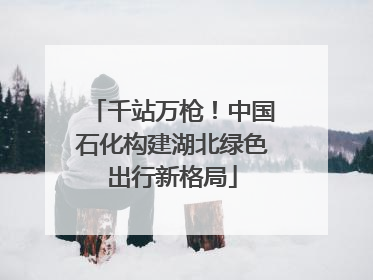 千站万枪！中国石化构建湖北绿色出行新格局