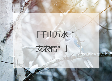 千山万水“支农情”