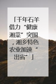 千年石羊借力“健康湘菜”突围，湘乡特色农业加速“出省”