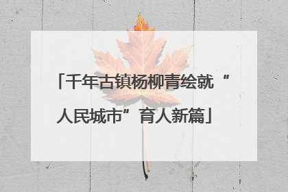千年古镇杨柳青绘就“人民城市”育人新篇