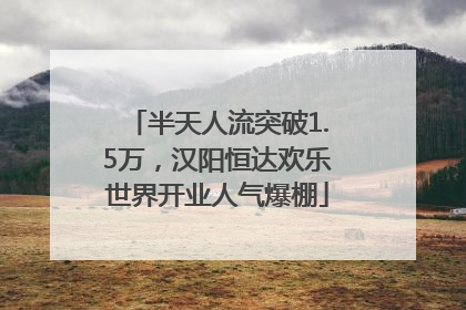 半天人流突破1.5万，汉阳恒达欢乐世界开业人气爆棚