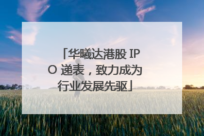 华曦达港股 IPO 递表，致力成为行业发展先驱
