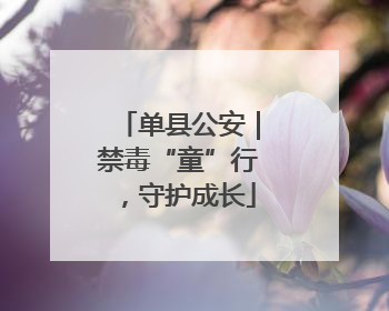 单县公安｜禁毒“童”行，守护成长
