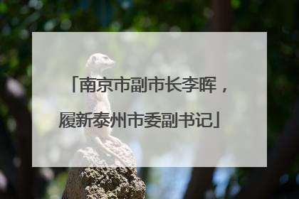 南京市副市长李晖，履新泰州市委副书记