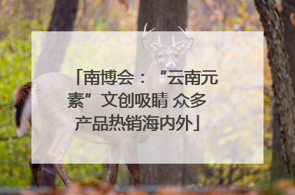 南博会：“云南元素”文创吸睛 众多产品热销海内外