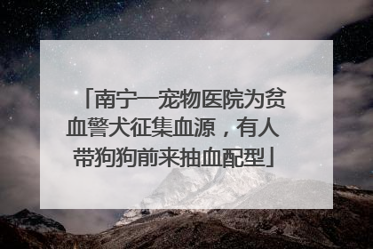 南宁一宠物医院为贫血警犬征集血源，有人带狗狗前来抽血配型