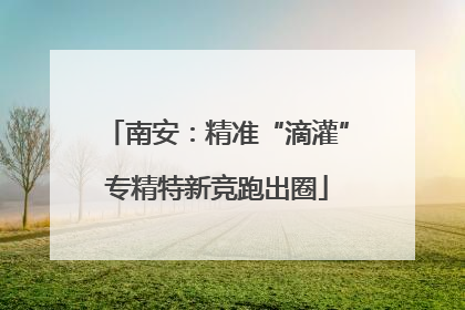 南安：精准“滴灌”专精特新竞跑出圈