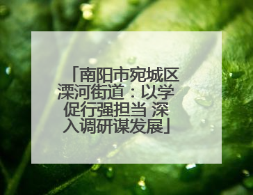 南阳市宛城区溧河街道：以学促行强担当 深入调研谋发展