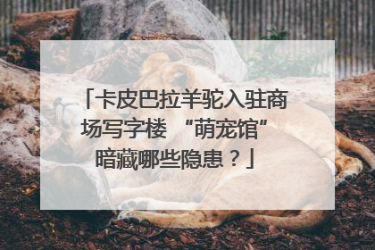 卡皮巴拉羊驼入驻商场写字楼 “萌宠馆”暗藏哪些隐患？