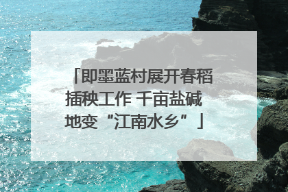 即墨蓝村展开春稻插秧工作 千亩盐碱地变“江南水乡”