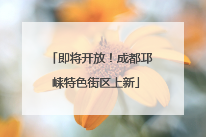 即将开放！成都邛崃特色街区上新