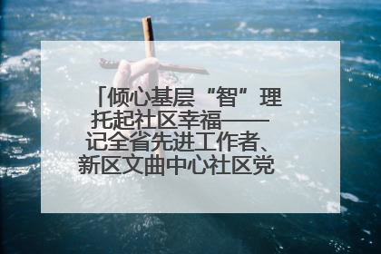 倾心基层“智”理 托起社区幸福——记全省先进工作者、新区文曲中心社区党委书记董世弘