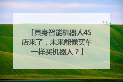 具身智能机器人4S店来了，未来能像买车一样买机器人？