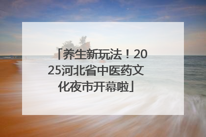 养生新玩法！2025河北省中医药文化夜市开幕啦