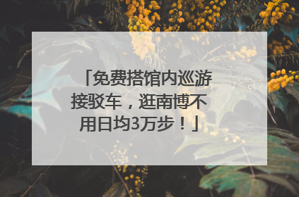 免费搭馆内巡游接驳车，逛南博不用日均3万步！