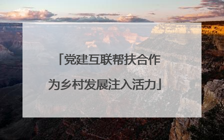 党建互联帮扶合作 为乡村发展注入活力