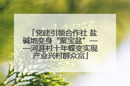 党建引领合作社 盐碱地变身“聚宝盆”——河涯村十年蝶变实现产业兴村群众富