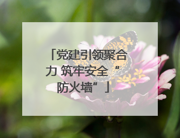 党建引领聚合力 筑牢安全“防火墙”