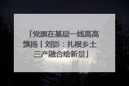 党旗在基层一线高高飘扬丨刘影：扎根乡土 三产融合绘新景