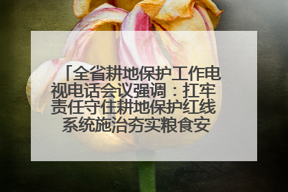 全省耕地保护工作电视电话会议强调：扛牢责任守住耕地保护红线 系统施治夯实粮食安全根基 王宁作出批示 王予波出席并讲话