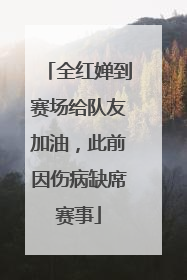 全红婵到赛场给队友加油，此前因伤病缺席赛事