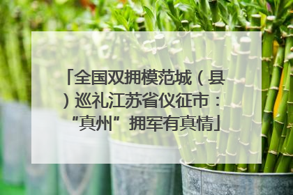 全国双拥模范城（县）巡礼江苏省仪征市：“真州”拥军有真情