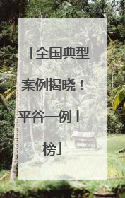 全国典型案例揭晓！平谷一例上榜