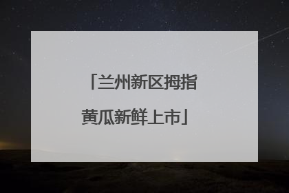 兰州新区拇指黄瓜新鲜上市