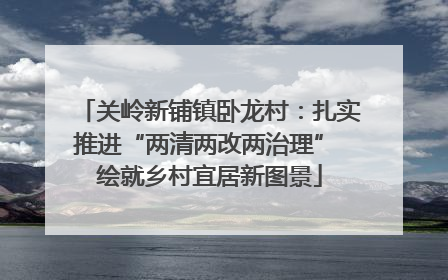 关岭新铺镇卧龙村：扎实推进“两清两改两治理” 绘就乡村宜居新图景