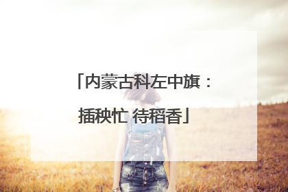 内蒙古科左中旗：插秧忙 待稻香
