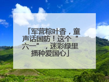 军营粽叶香，童声话国防！这个“六一”，迷彩绿里播种爱国心