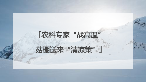 农科专家“战高温” 菇棚送来“清凉策”