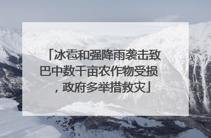 冰雹和强降雨袭击致巴中数千亩农作物受损，政府多举措救灾
