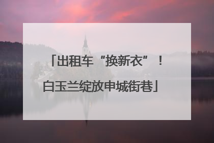出租车“换新衣”！白玉兰绽放申城街巷