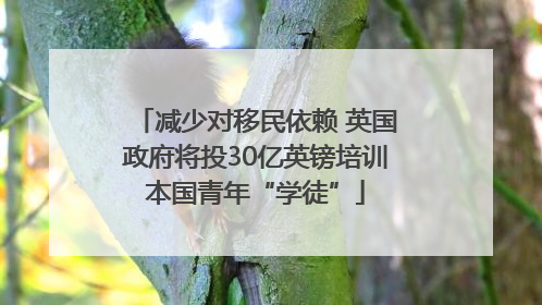 减少对移民依赖 英国政府将投30亿英镑培训本国青年“学徒”