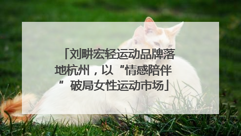 刘畊宏轻运动品牌落地杭州，以“情感陪伴”破局女性运动市场