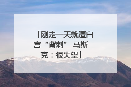 刚走一天就遭白宫“背刺” 马斯克：很失望