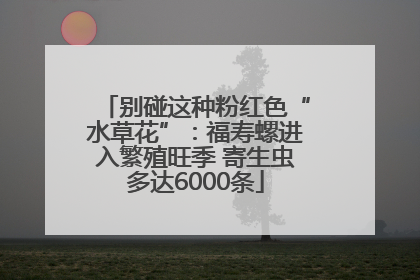别碰这种粉红色“水草花”：福寿螺进入繁殖旺季 寄生虫多达6000条