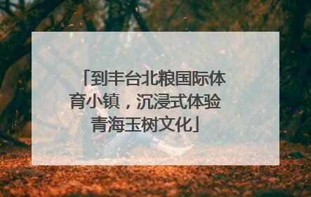 到丰台北粮国际体育小镇，沉浸式体验青海玉树文化