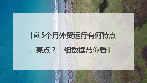前5个月外贸运行有何特点、亮点？一组数据带你看