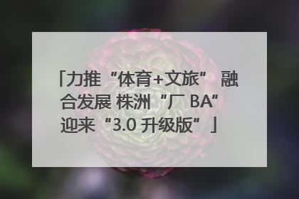 力推“体育+文旅” 融合发展 株洲“厂 BA”迎来“3.0 升级版”
